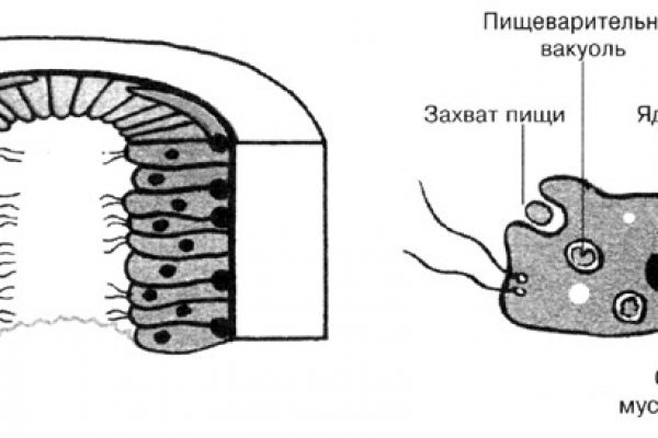 Мега магазин наркотиков