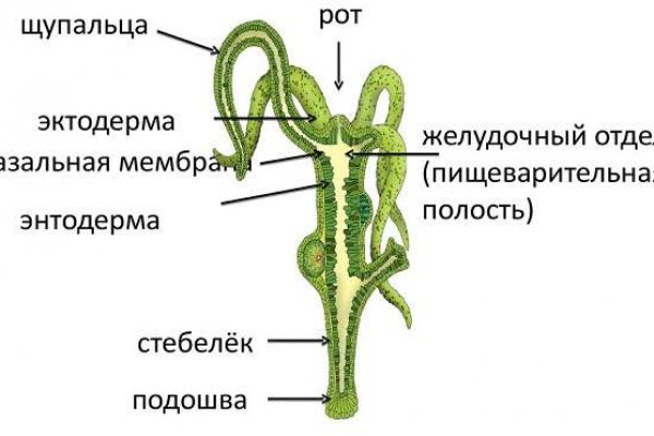 Омг заказать марихуану