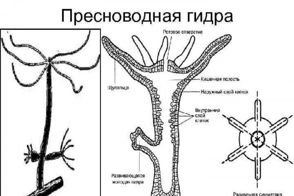 Русские ссылки тор браузера mega